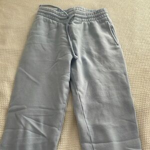 Aritzia sweatpants